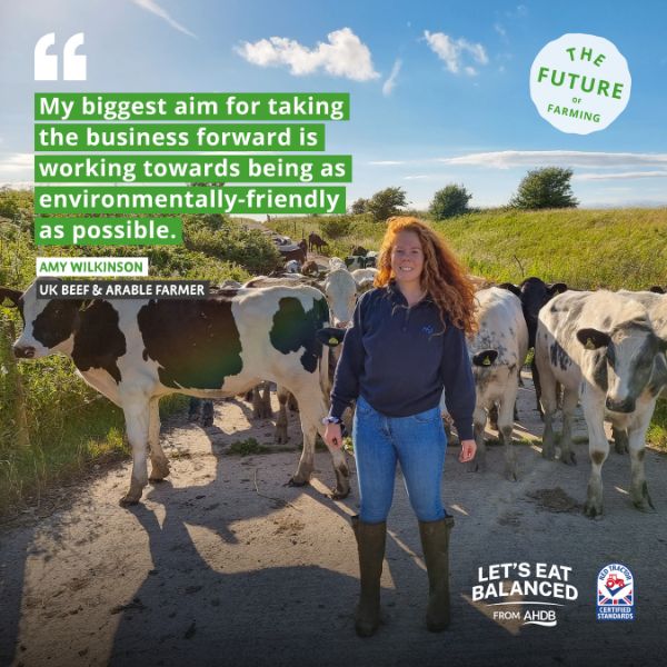 Woman with long hair wearing blue jacket, jeans and wellies stood in front of cows